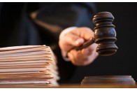 Волинянина судитимуть за крадіжку деревини