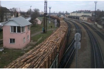 Український ліс масово вивозять за кордон