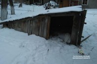 У Луцьку в закинутих будівлях знайшли 16-річну дівчину без верхнього одягу