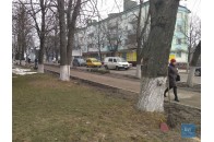 У місті на Волині відмовилися від побілки дерев