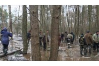 Волинський ліс захищатимуть від бурштинокопачів