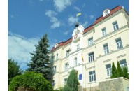 У Луцькій міськраді розформовують фракцію 