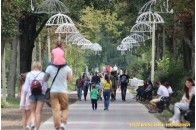Луцьк посідає 2-е місце у рейтингу найкомфортніших міст України