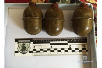 На Волині у чоловіка знайшли три бойові гранати