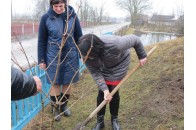 У Хотешові Ірина Констанкевич разом з громадою висадила кущі калини