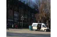 Бродячі собаки не допускали лікарів до людини, яка лежала у центрі Рівного