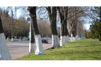 У Івано-Франківську штрафуватимуть за побілку бордюрів та стовпів