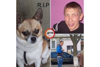 Чоловік викинув собаку з 9 поверху у Києві