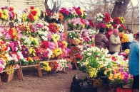 Волинська єпархія УПЦ КП закликає людей не нести на кладовища штучні квіти