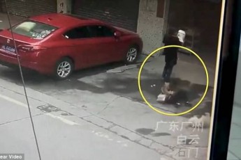 У Китаї жінці на голову впала собака (Відео)
