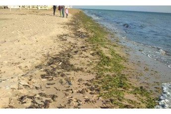 На що Росія перетворила Крим: фонтани з фекалій та занедбані пляжі (фото)