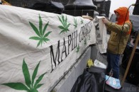 У Києві відбудеться конопляний Марш Свободи