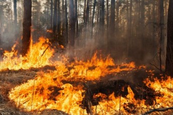 В Україні очікується надзвичайна пожежна небезпека