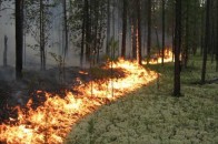 Через обстріли терористів 