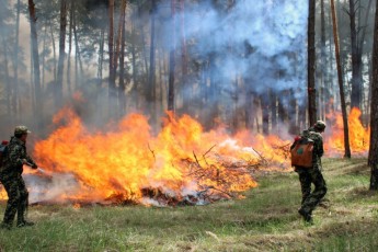 Українців попереджають про надзвичайну пожежну небезпеку