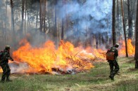 Українців попереджають про надзвичайну пожежну небезпеку