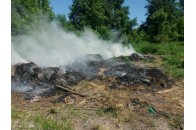 У Луцьку підпалили Центральний парк