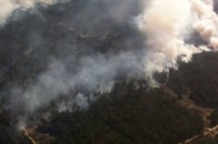 20 гектарів лісу палає на Херсонщині