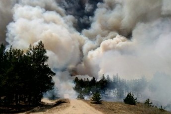 На Херсонщині третю добу поспіль ліквідовують лісову пожежу