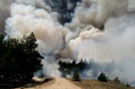 На Херсонщині третю добу поспіль ліквідовують лісову пожежу