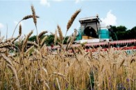У Луцькому районі почалась війна за землі агропідприємства