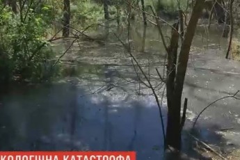 Заповідник 
