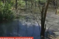Заповідник 