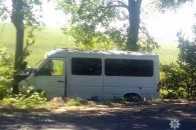 На Волині автомобіль злетів у кювет та врізався в дерево