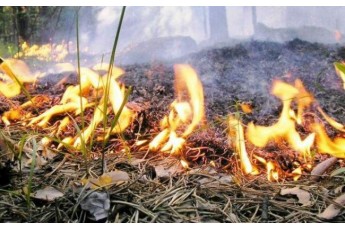 Протягом 9-10 червня в Україні триматиметься найвищий рівень пожежної небезпеки