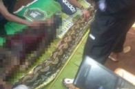 Схоже на фільм жахів: жінку повністю проковтнув пітон