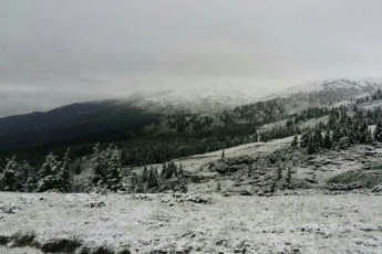У Карпатах випав червневий сніг (фото)