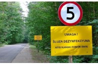 Поляки передумали будувати 