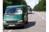 На Волині бус збив лося (Фото 18+)