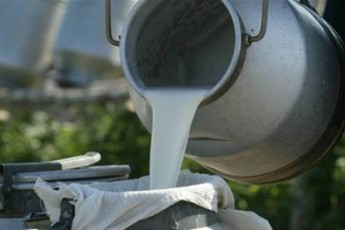 В Україні перестануть закупляти молоко у населення з 2022 року