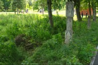 У міськраді посперечалися через кропиву у луцькому парку
