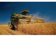 Через аномальну спеку аграрії Волині втрачають врожай