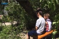 В одному із дворів Луцька дерево ледь не вбило двох хлопчиків