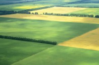 На Волині непрозоро використовують сотні тисяч земель