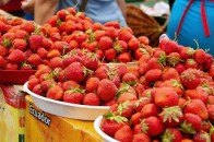 Все більше українців легально працюють у Польщі
