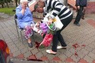 Головні новини Волині 16 липня: Собака пошматував ногу старенькій волинянці; На Волині вилучили небезпечну для дітей продукцію; Лучани скаржаться на…