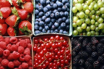 Які ягоди найкорисніші для легень