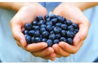 Лікарі назвали найкорисніші продукти для мозку