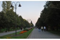 У луцькому парку жінка хоче встановити торговельні майданчики