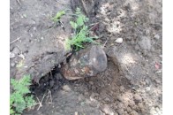 На Волині знешкодили більше десяти бойових снарядів