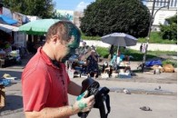 Головні новини Волині 4 серпня: На Волині у ДТП потрапив автобус з білорусами, котрі їхали на відпочинок до Болгарії; У Луцьку відомий супермаркет…