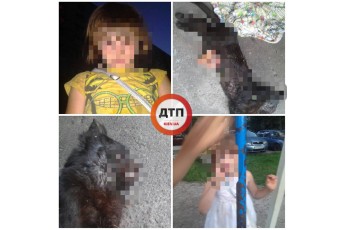 6-річна живодерка розтинає ножем живих кошенят та цуценят у Києві (ВІДЕО)