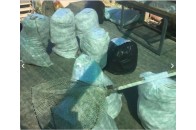 Працівники національного заповідника займались масштабним браконьєрством (фото)