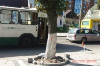 У Луцьку тролейбус врізався в 