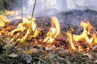 До кінця тижня в Україні переважатиме надзвичайний рівень пожежонебезпеки