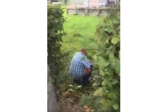 У луцькому парку двоє